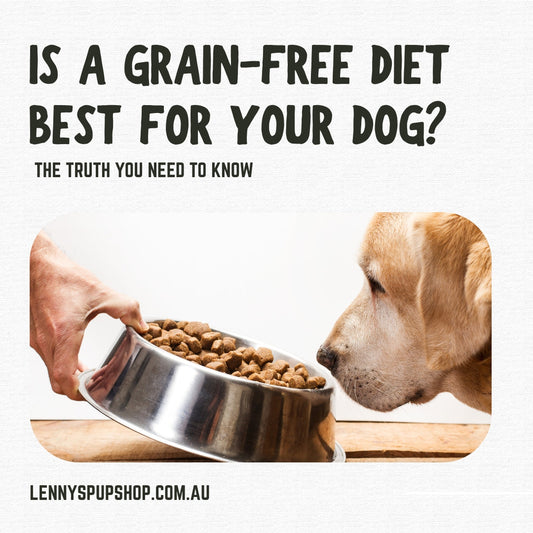 Is a Grain-Free Diet Best for Your Dog? The Truth You Need to Know