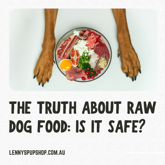 The Truth About Raw Dog Food: Is It Safe?