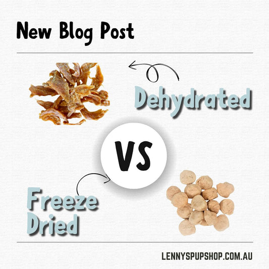 Dehydrated vs. Freeze-Dried Treats – Which is Better?