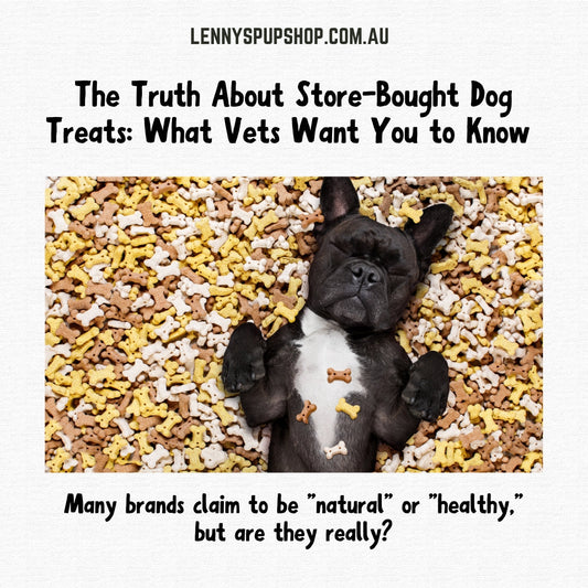 The Truth About Store-Bought Dog Treats: What Vets Want You to Know