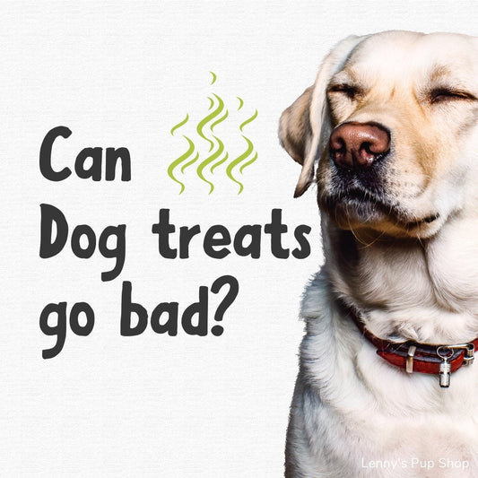 Can dog treats go bad
