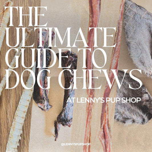 The Ultimate Guide to Dog Chews at Lenny's Pup Shop: