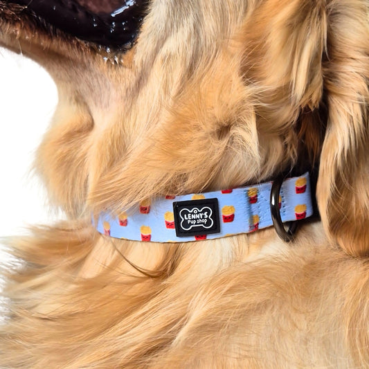 Lenny's Pup Shop Dog Collars