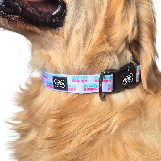 Lenny's Pup Shop Dog Collars