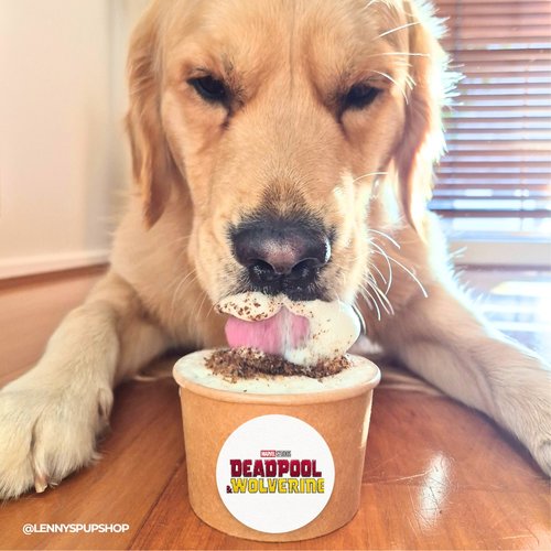 Lenny's Pup Shop for KIIS101.1