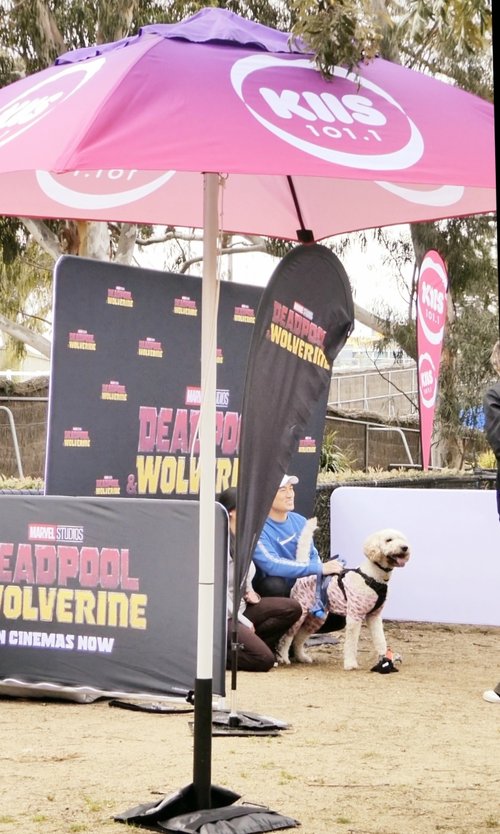 Lenny's Pup Shop for KIIS101.1
