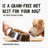 Is a Grain-Free Diet Best for Your Dog? The Truth You Need to Know