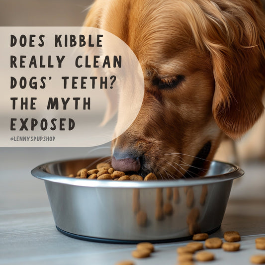 Does Kibble Really Clean Dogs’ Teeth? The Myth Exposed