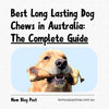 Best Long Lasting Dog Chews in Australia: The Complete Guide