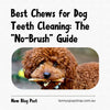 Best Chews for Dog Teeth Cleaning: The 