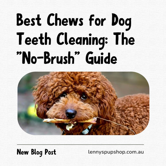 Best Chews for Dog Teeth Cleaning: The "No-Brush" Guide