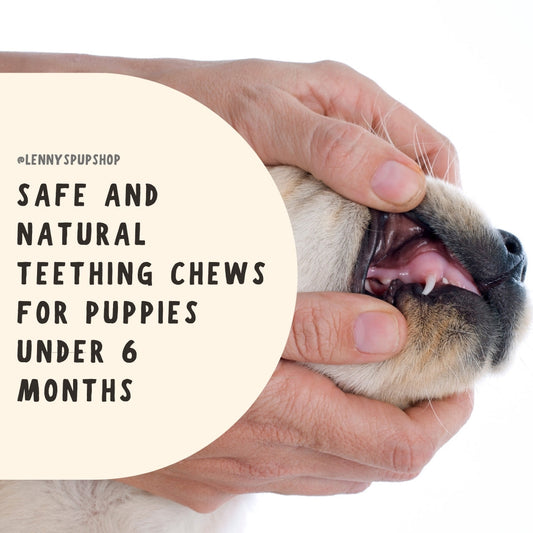Safe and Natural Teething Chews for Puppies Under 6 Months
