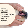 Safe and Natural Teething Chews for Puppies Under 6 Months