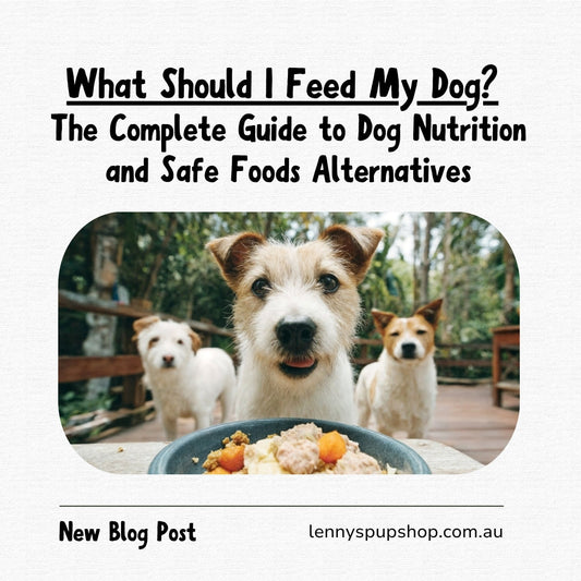 What Should I Feed My Dog? The Complete Guide to Dog Nutrition and Safe Foods