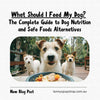 What Should I Feed My Dog? The Complete Guide to Dog Nutrition and Safe Foods Alternatives