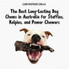 The Best Long-Lasting Dog Chews in Australia for Staffies, Kelpies, and Power Chewers