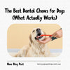 The Best Dental Chews for Dogs (What Actually Works)