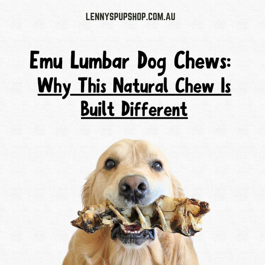 Emu Lumbar Dog Chews: Why This Natural Chew Is Built Different