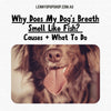 Why Does My Dog’s Breath Smell Like Fish? Causes + What To Do