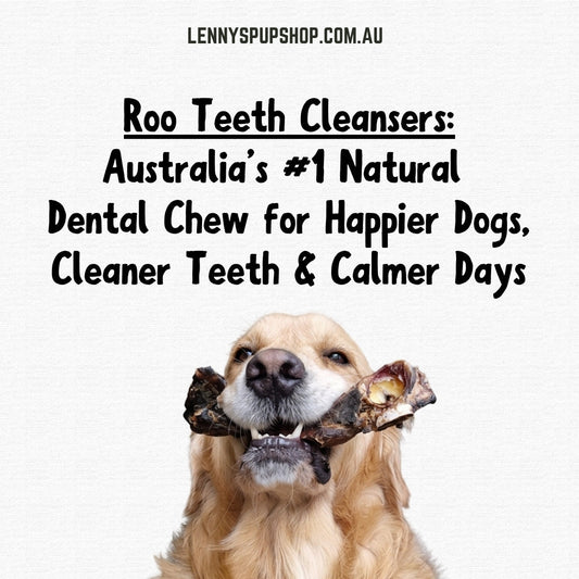 Roo Teeth Cleansers: Australia’s Natural Dental Chew for Happier Dogs, Cleaner Teeth & Calmer Days