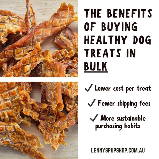 The Benefits of Buying Healthy Dog Treats in Bulk 