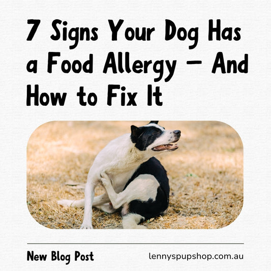 7 Signs Your Dog Has a Food Allergy – And How to Fix It