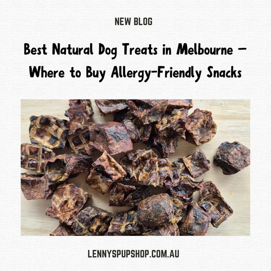 Best Natural Dog Treats in Melbourne – Where to Buy Allergy-Friendly Snacks