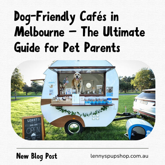  Dog-Friendly Cafés in Melbourne – The Ultimate Guide for Pet Parents