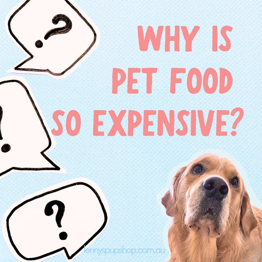 Why is pet food so expensive?