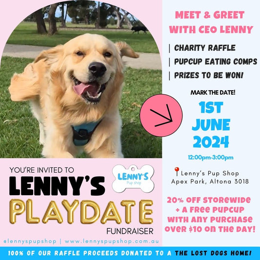 Lenny's Playdate Fundraiser- events