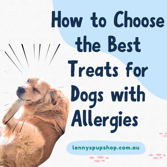 Allergy-friendly dog treats