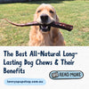 The Best All-Natural Long-Lasting Dog Chews & Their Benefits