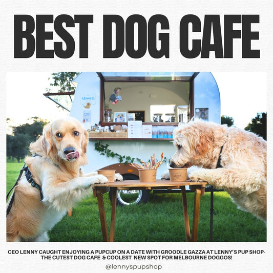 Come to the Best Dog Cafe in Melbourne- Lenny's Pup Shop