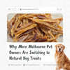 Why More Melbourne Pet Owners Are Switching to Natural Dog Treats