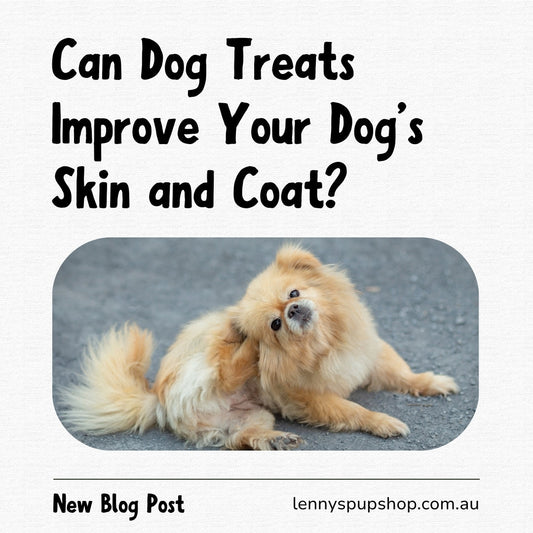 Can Dog Treats Improve Your Dog’s Skin and Coat? 