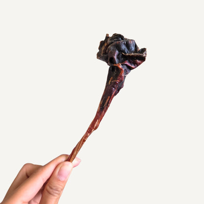 Roo Tendons