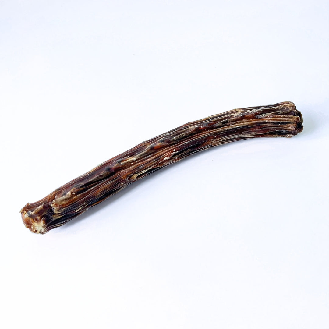 Kangaroo King tail