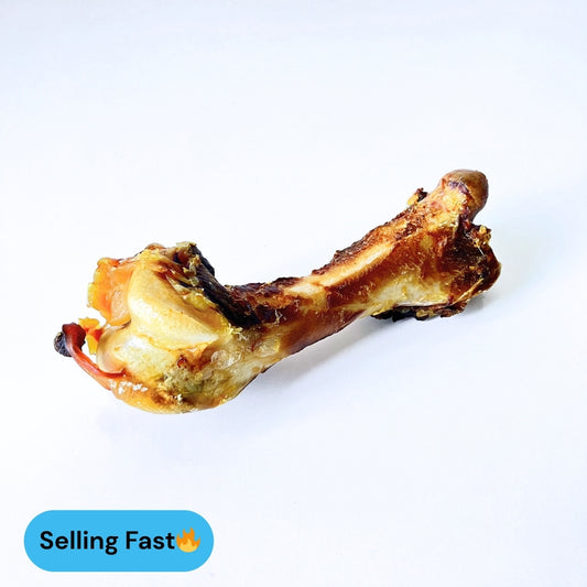 Emu femur lenny's pup shop