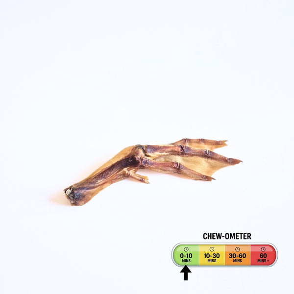 new duck foot image