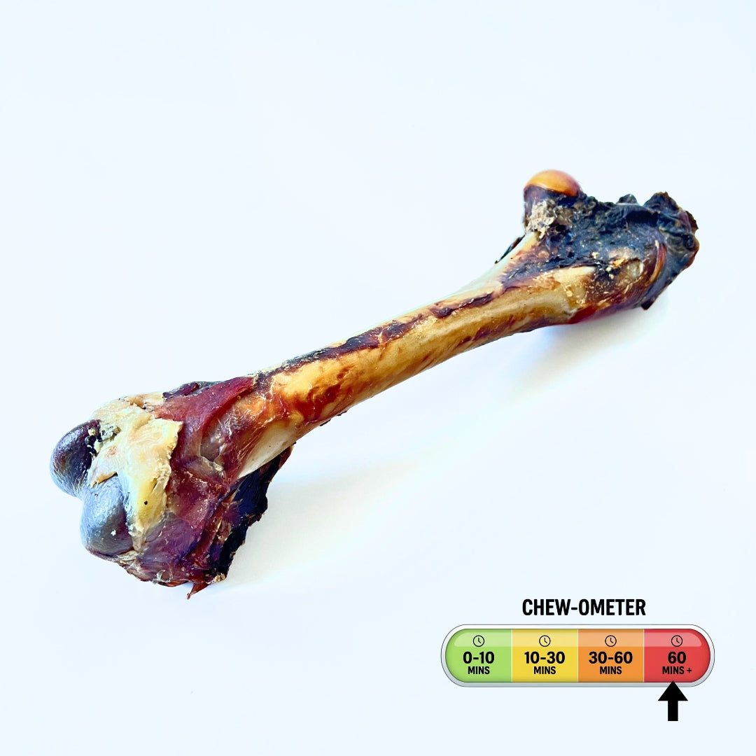 Boredom Buster ~ Roo Femur