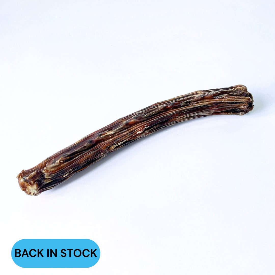 Roo king tail back in stock