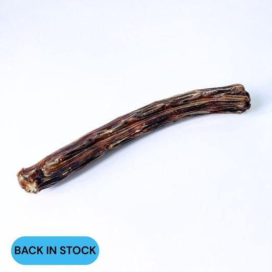Roo king tail back in stock