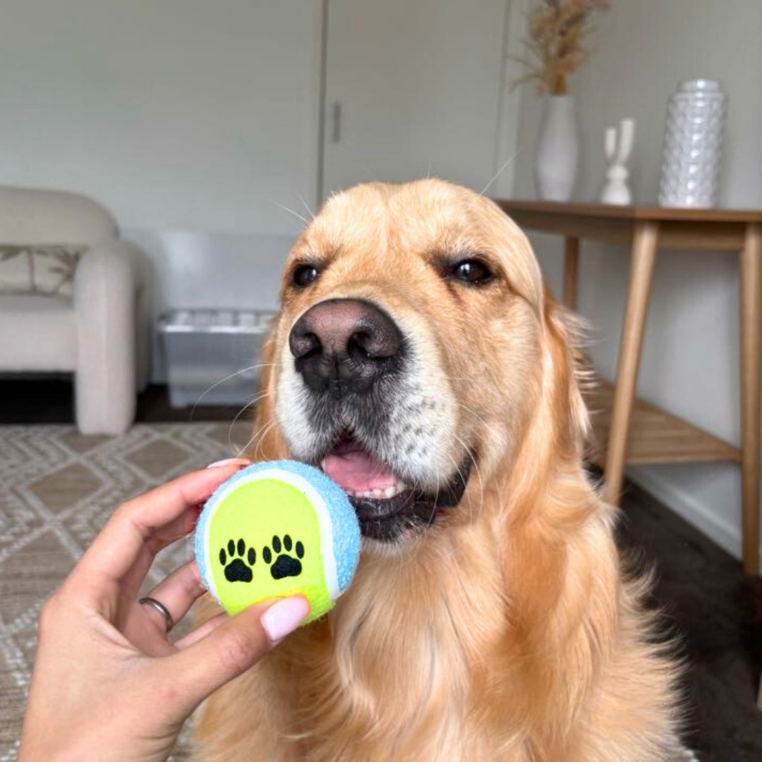 Lenny's Tennis Balls (2 Pack)
