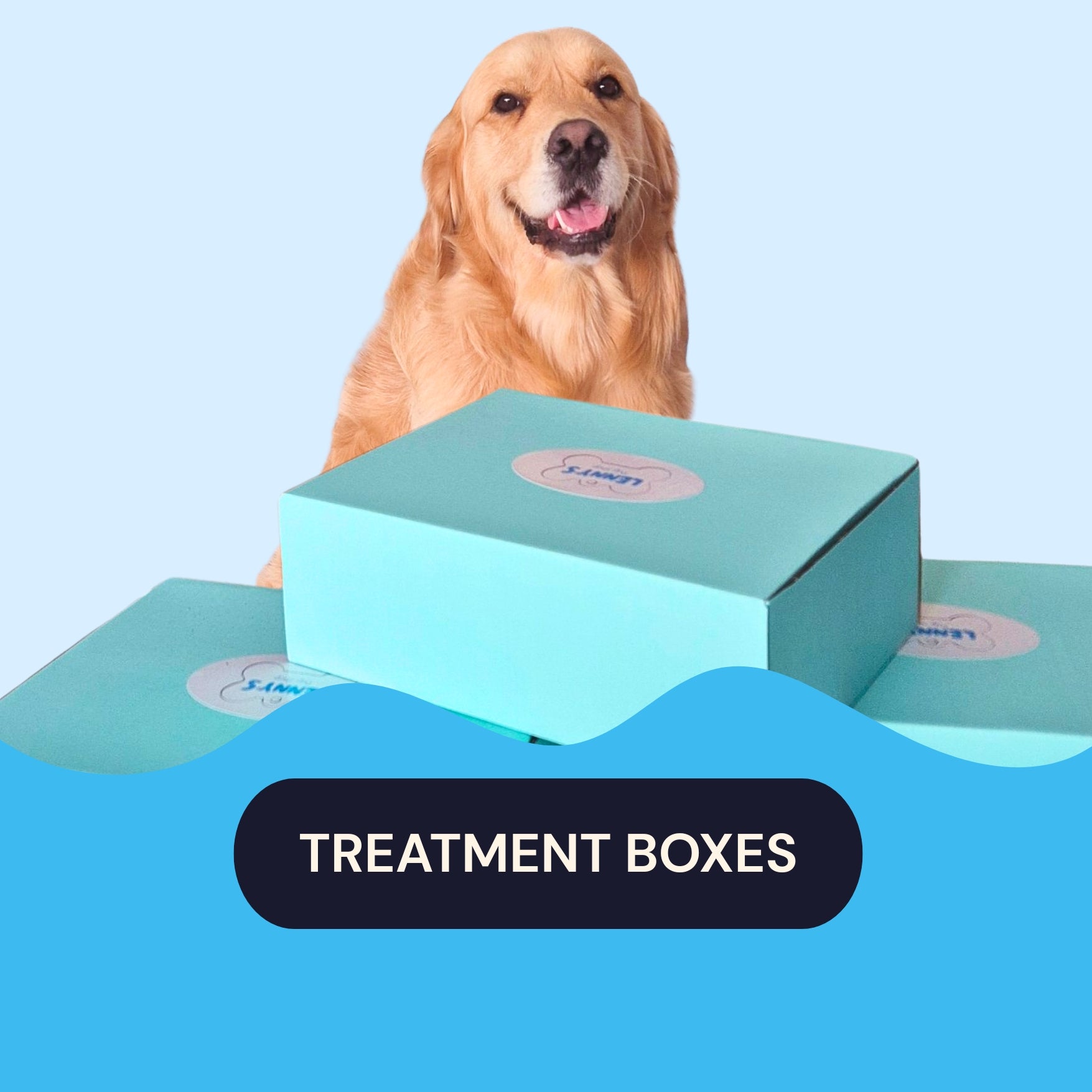treatment boxes Lenny's Pup Shop