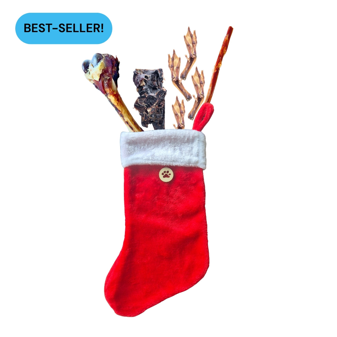 Lenny's Chew stocking