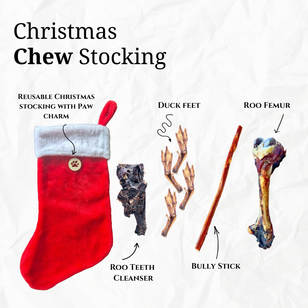 Red Christmas stocking with dog chew items on a white background