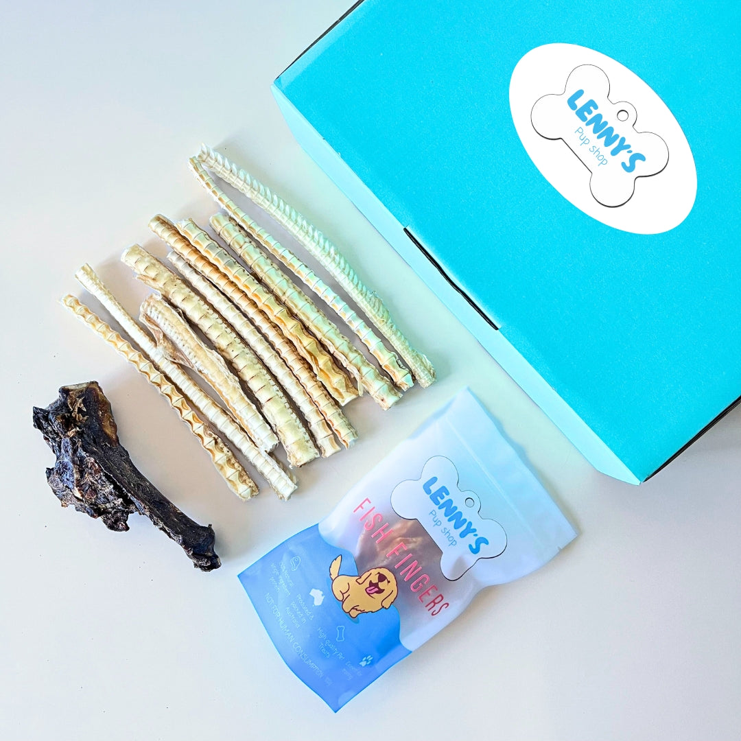Dog treats and a bone next to a blue box with 'Lenny's' branding on a light background