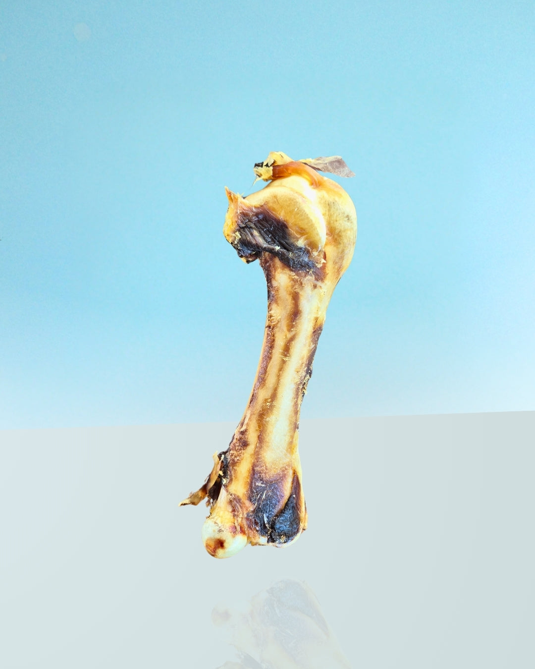 Emu femur treat