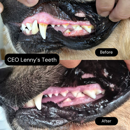 Before & after teeth Lenny