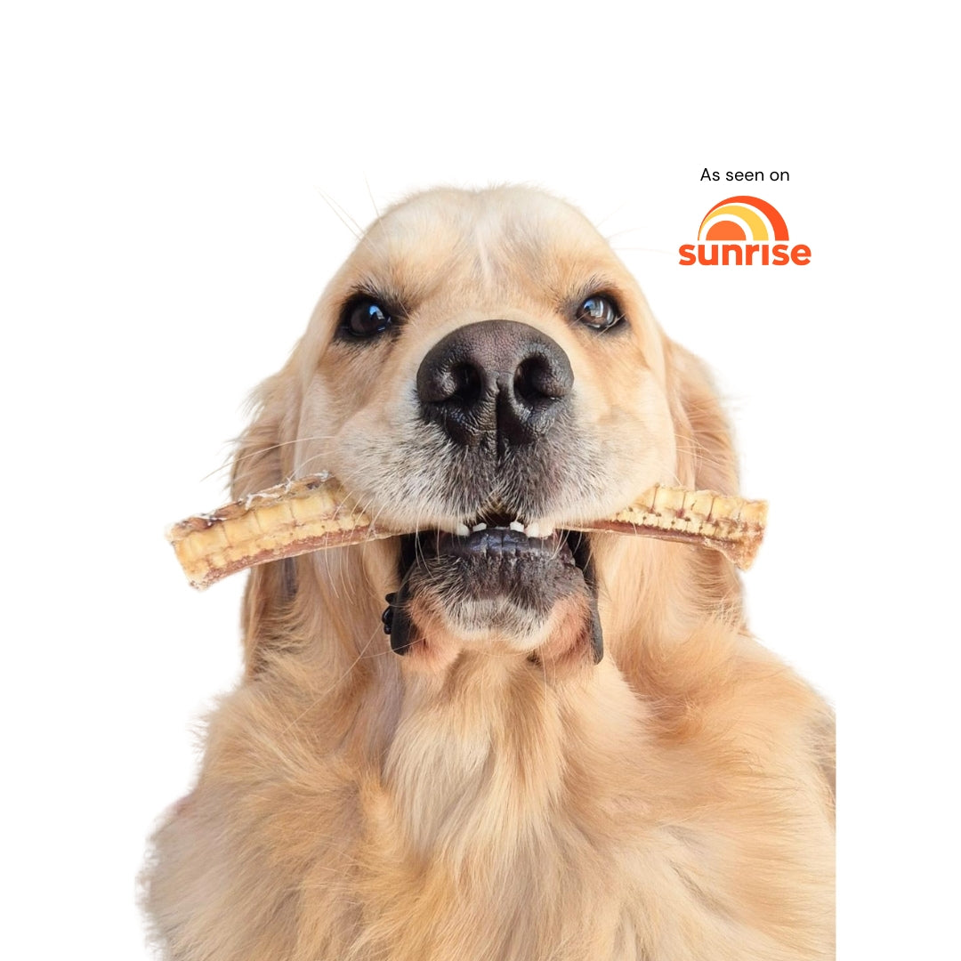 Lenny's Pup Shop- natural dog treats, made in Australia, allergy-friendly dog treats and more